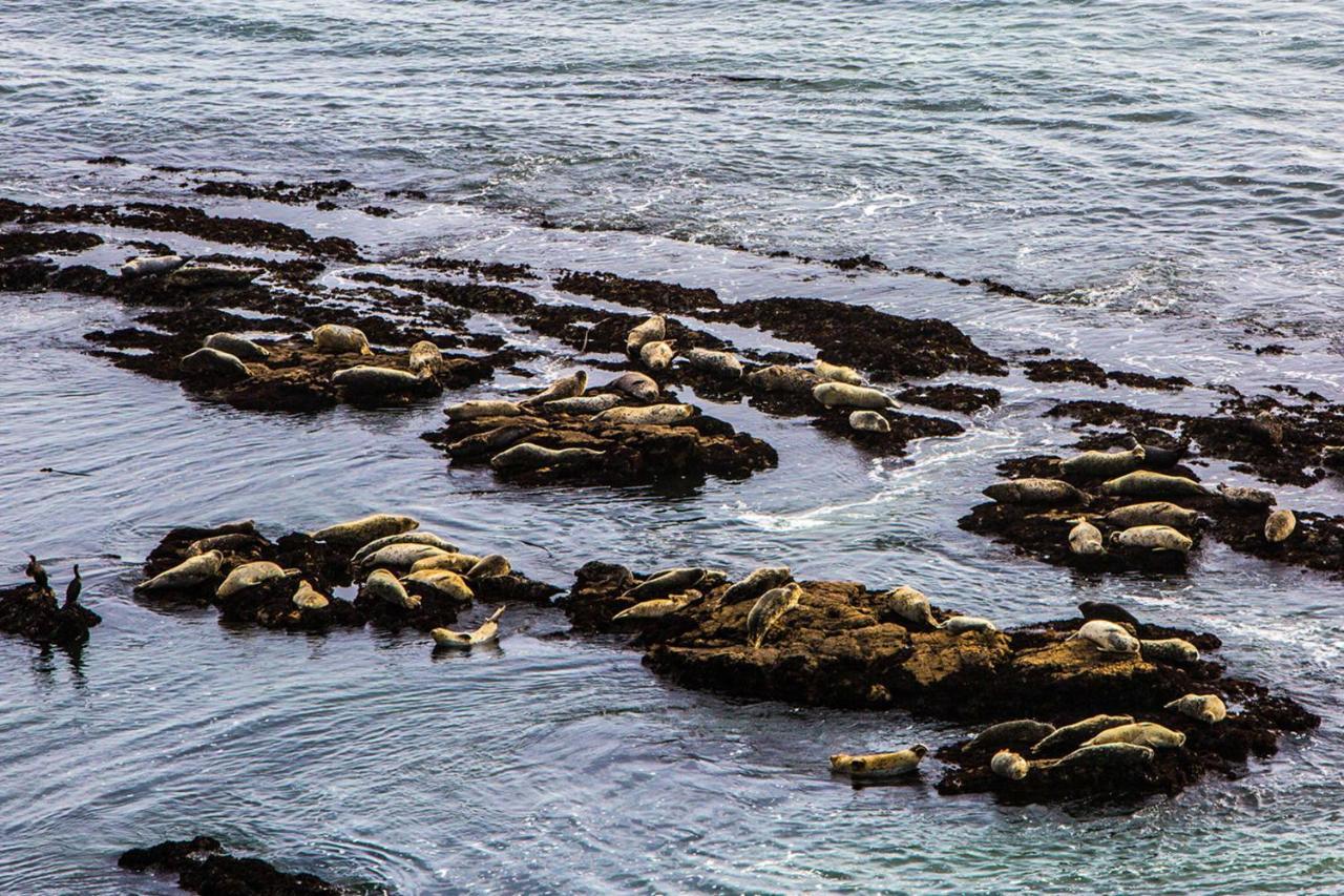 Luxury Beachfront Penthouse Walk To The Beach Restaurants Entertainment Half Moon Bay Exterior foto
